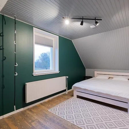 Tammearu Kopu (Viljandimaa)