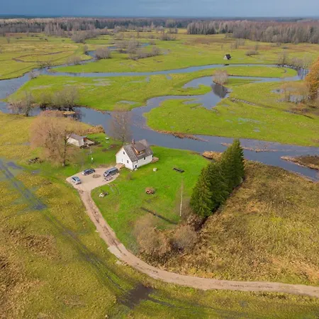 Tammearu Kopu (Viljandimaa)