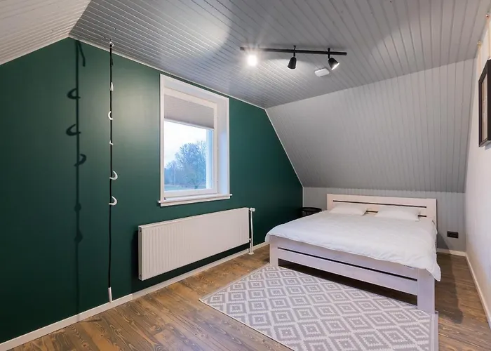 Tammearu Kopu (Viljandimaa)