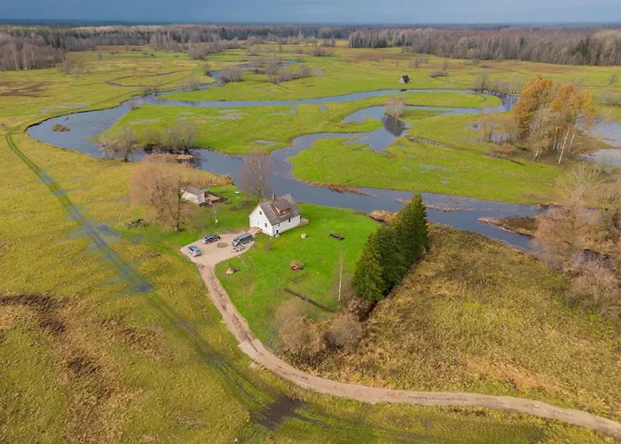 Tammearu Kopu (Viljandimaa)